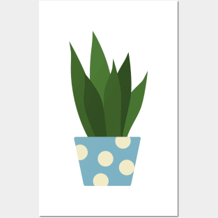 Snake Plant Posters and Art